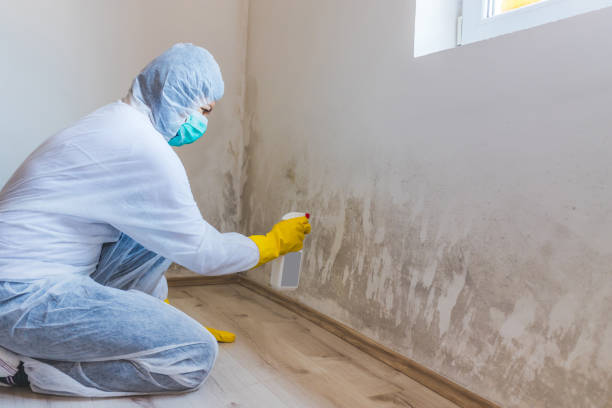 Hvac And Air Duct Mold Remediation inspection of HVAC system in New Market